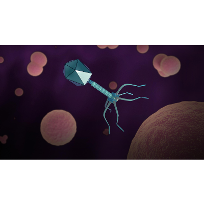 How a long-forgotten virus could help us solve the antibiotics crisis icon