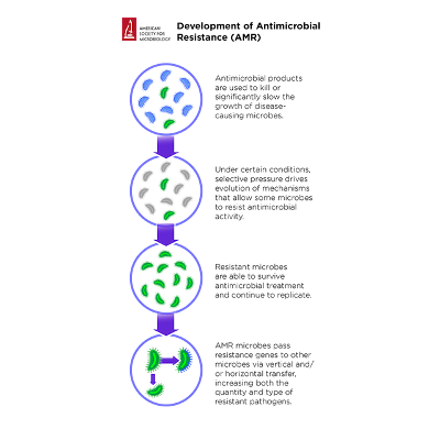 Antimicrobial Resistance Resource page