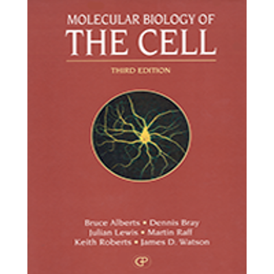 Figure 6-80, The life cycle of bacteriophage lambda - Molecular Biology of the Cell - NCBI Bookshelf
