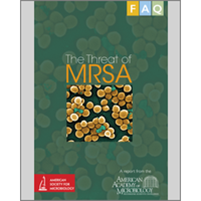 [Figure], The growth of MRSA on an enriched agar plate. - FAQ: The Threat of MRSA - NCBI Bookshelf icon