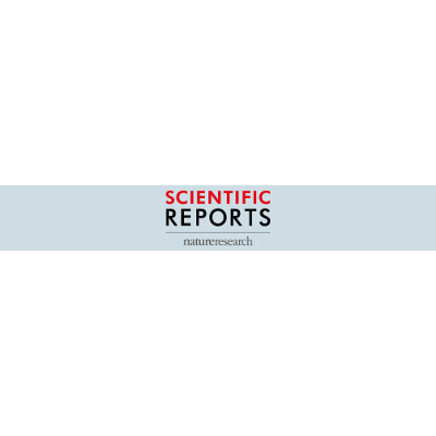 Using machine learning methods and EEG to discriminate aircraft pilot cognitive workload during flight icon