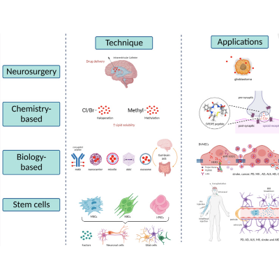 Blood–Brain Barrier Disruption in Neurodevelopmental and Neurodegenerative Disorders icon