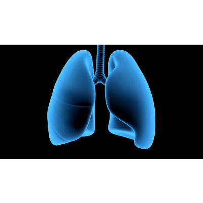 Mesothelioma Basics