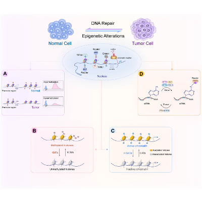 Cancer epigenetics: from laboratory studies and clinical trials to precision medicine - Cell Death Discovery icon