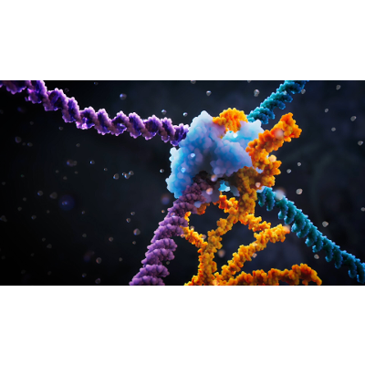 Scientists discover next-generation system for programmable genome design