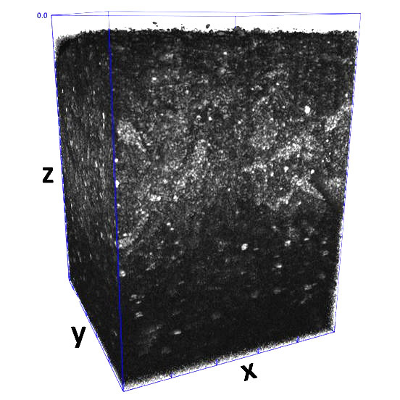 NIST Develops New Nondestructive Method for Assessing Bioengineered Artificial Tissues icon