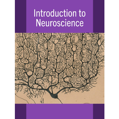 Introduction to Neuroscience icon