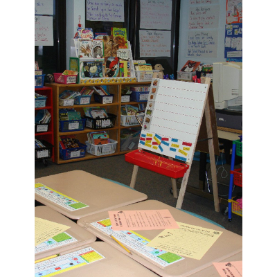 Teaching Literacy in Grades Pre-K to 2