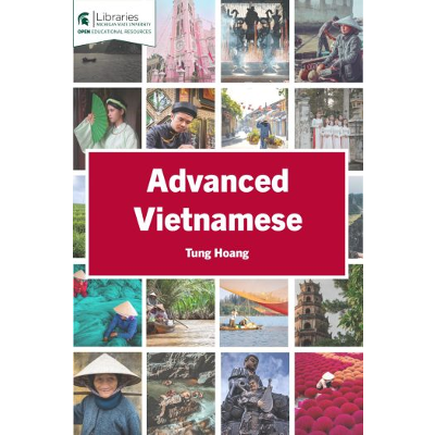 Advanced Vietnamese icon