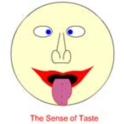 The Sense of Taste icon