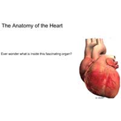 The Anatomy of the Heart icon