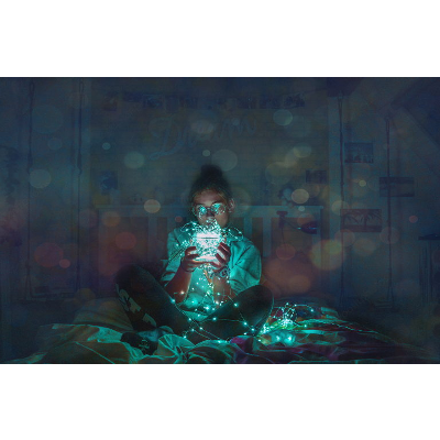 Overshoot: The Ecological Basis of Revolutionary Change icon