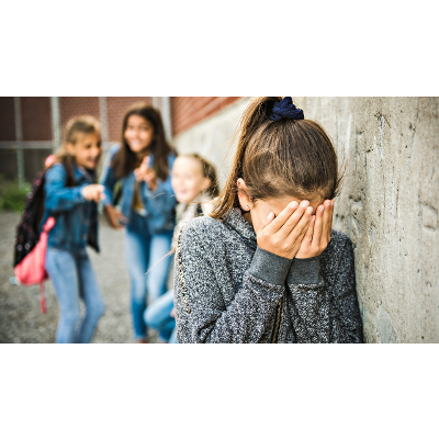 Bullying, Schools & Homes: The Problems with Parenting. icon