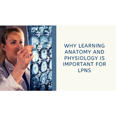 Why Learning Anatomy and Physiology is Important for LPNs? icon