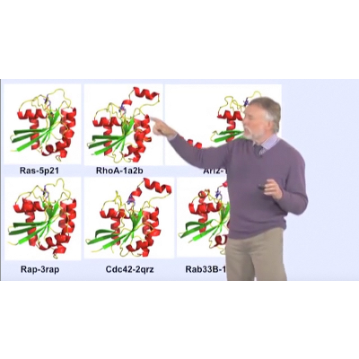 G-Proteins as Molecular Switches