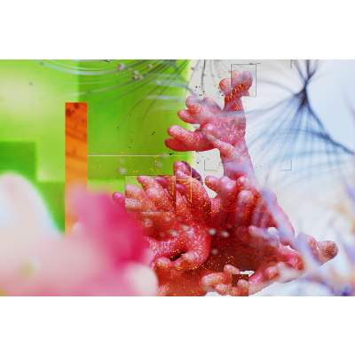 AI Literacies and the Advancement of Opened Culture: Global Perspectives and Practices