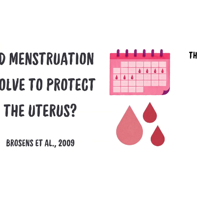 Menstruation from an evolutionary perspective icon