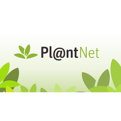 Pl@ntNet icon