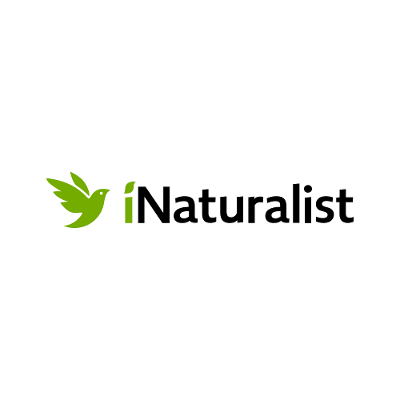 iNaturalist Guides icon