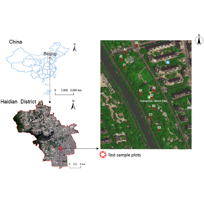 Ecological health care effect of healthy greenways in urban community belt parks - Landscape and Ecological Engineering icon