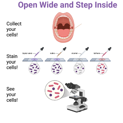 Open wide and step inside icon