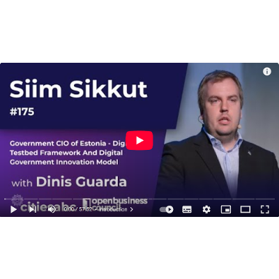 Siim Sikkut, Government CIO Estonia - Digital Testbed Framework, Digital Government Innovation Model icon