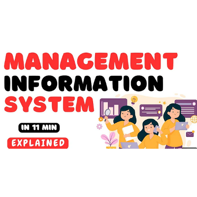 Management Information System (MIS) icon