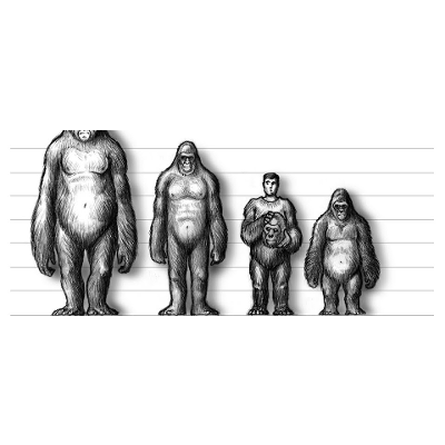 Does Science Benefit From the Search for Sasquatch? icon