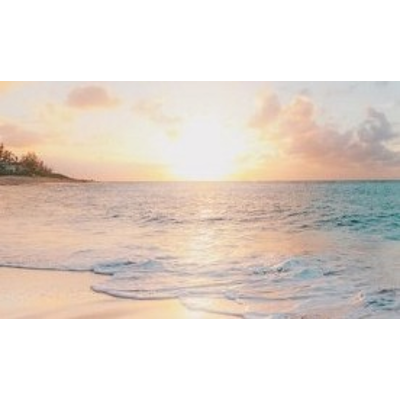 Fables in a Doctor of Nursing Practice (DNP) Program: An Exercise for Nursing Leadership Competencies icon