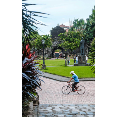 Physical Examination of the Peripheral Vascular System icon