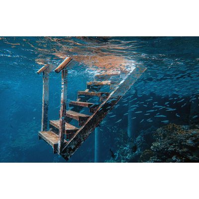 Social, academic, and technological challenges faced by learners with disabilities in Pakistan icon