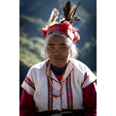 Profiling, Credentialing, Risk Adjustment, and Benchmarking in Health Systems