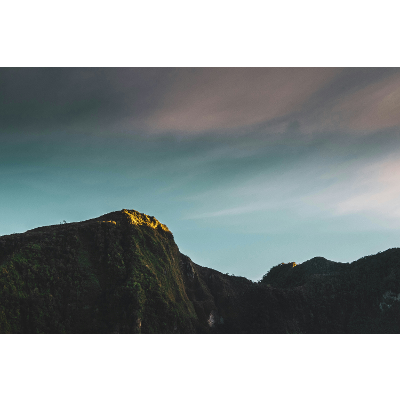 Physical Examination of the Male Genitalia and Hernias icon