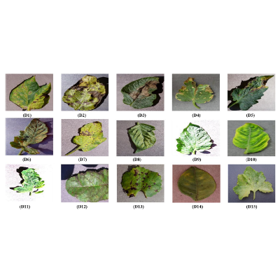 Using transfer learning-based plant disease classification and detection for sustainable agriculture icon