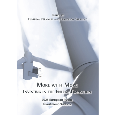 More with More: Investing in the Energy Transition: 2025 European Public Investment Outlook icon