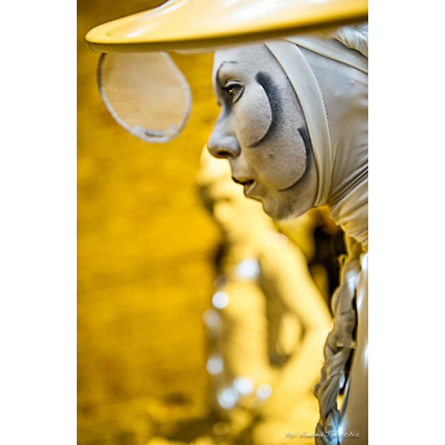 Piacere! Elementary Italian at The University of Iowa icon