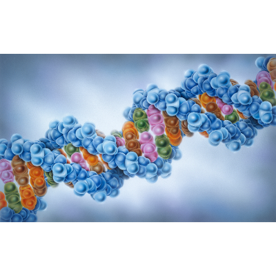 BEYOND CONVERGENCE:   Exploring the Science of the Nano World.