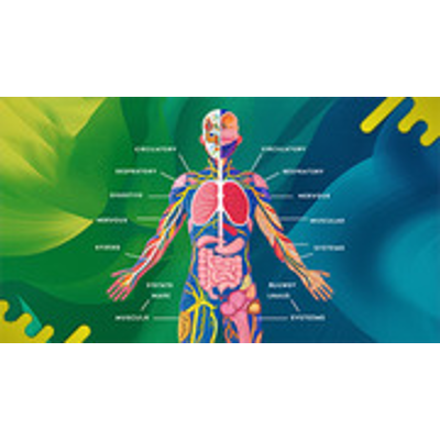 Grade 9 Biology : Lapis Group : Free Download, Borrow, and Streaming : Internet Archive icon