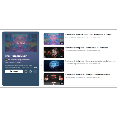 The Human Brain icon