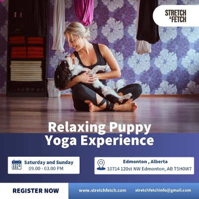 Relaxing Puppy Yoga Experience: A Joyful Way to Find Calm and Happiness