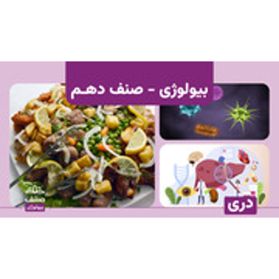 Grade 10 Biology : Lapis Group : Free Download, Borrow, and Streaming : Internet Archive icon