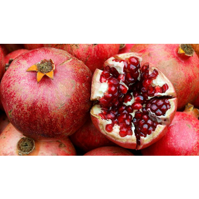 Trenton Jewish Historical Society - Pomegranates icon