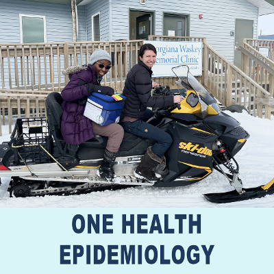 One Health Epidemiology