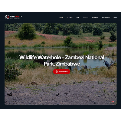 Explore the World Through Live Webcams! icon