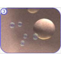 Regulated Secretion icon