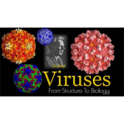 Viruses from Structure to Biology