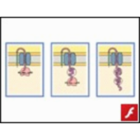 Translation-linked Protein Secretion icon