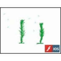 Life Cycle of a Moss icon