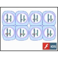 Independent Assortment of Alleles icon