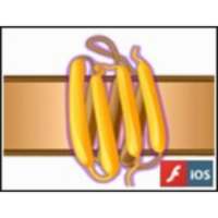 Light-driven Ion Pumps and Sensors